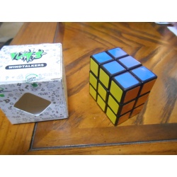 LanLan 3x3x2 Rubik-style