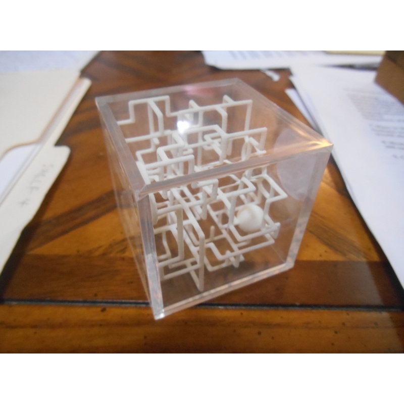 Bare Bones, 3D wire-frame maze, Steve Winter