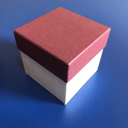 "Half-finished box" Karakuri Box Hiroshi Iwahara