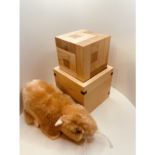Holey Squares Cube - Trevor Wood by John Devost