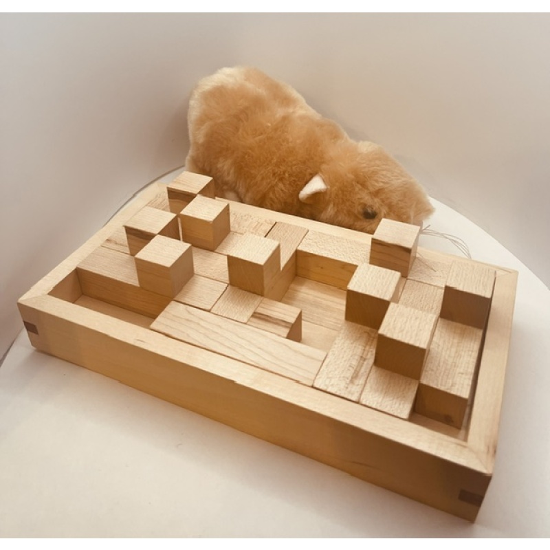 Pentominoes in a Rectangle - David Klarner by John Devost
