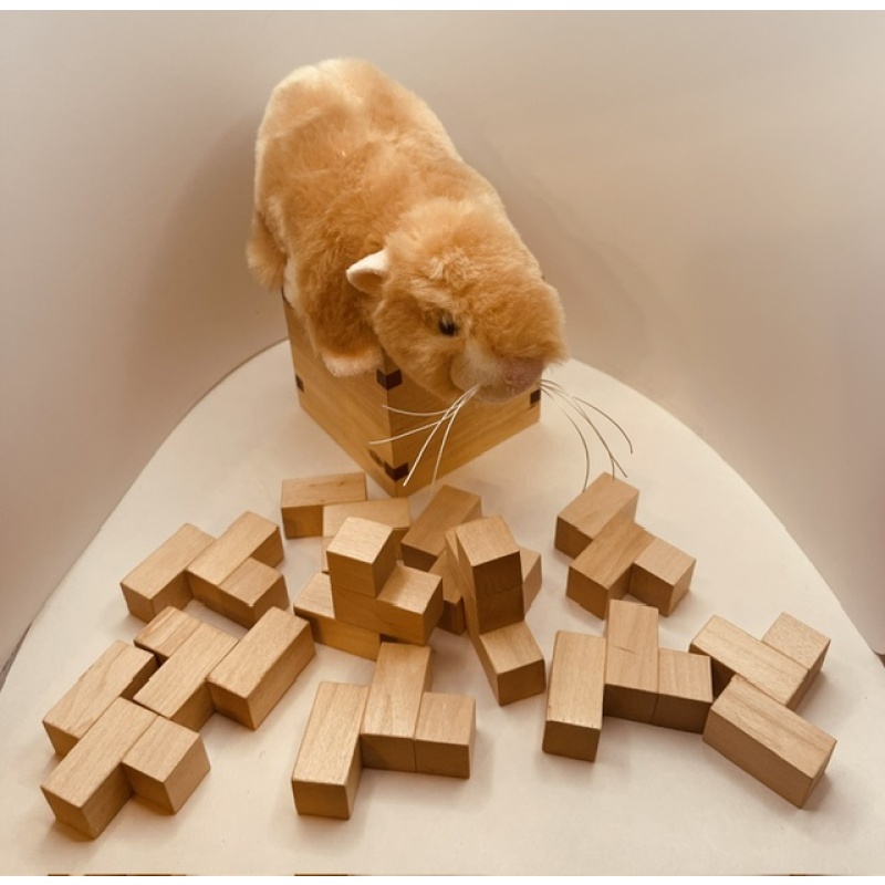 11 ‘F’ Pentominominoes by John Devost