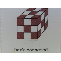 Two-Way checkerboard Cube Dissection (IPP19 exchange)