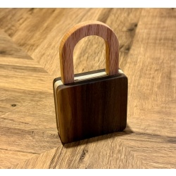 Pioneer Puzzles Lock 