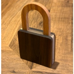 Pioneer Puzzles Lock 