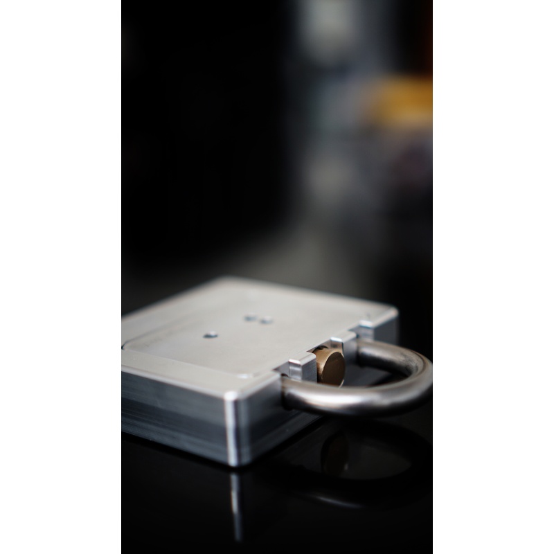 Revenge Lock - Wil Strijbos ( The Wanderer )