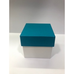 FS CUBE - Karakuri