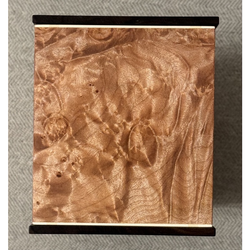 Coin Operated Box (Kagen Sound, Sold Out)