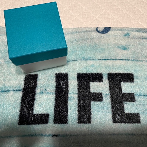 Karakuri 2023 Kawashima Christmas Present