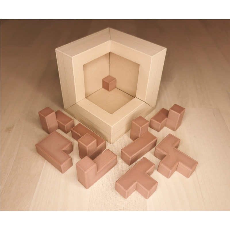 Begonia, by Yavuz Demirhan