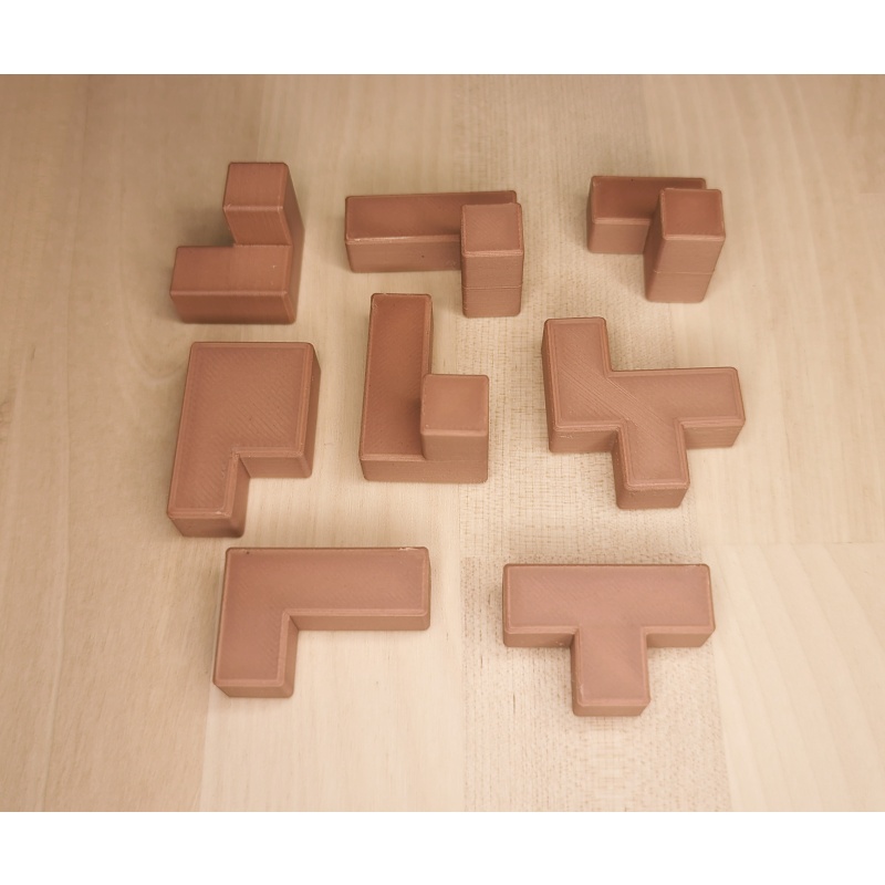 Begonia, by Yavuz Demirhan