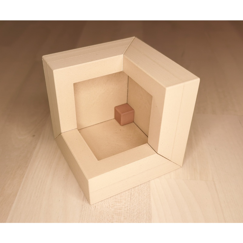 Begonia, by Yavuz Demirhan