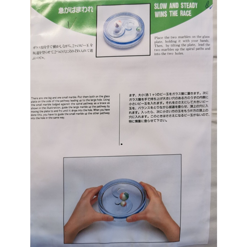 SLOW AND STEADY WINS THE RACE by Toyo Glass