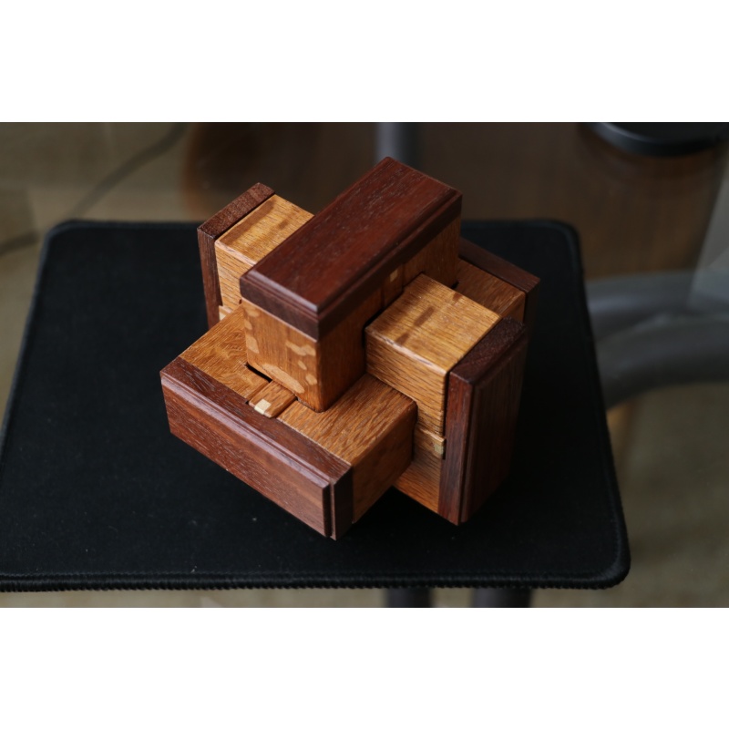 Ages Sequential Discovery Burr by Brian Young