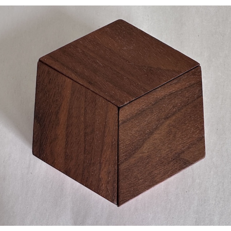 Y-Knot Puzzle