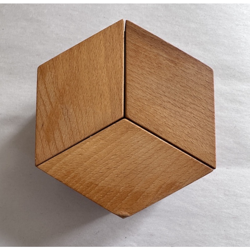 Y-Knot Puzzle