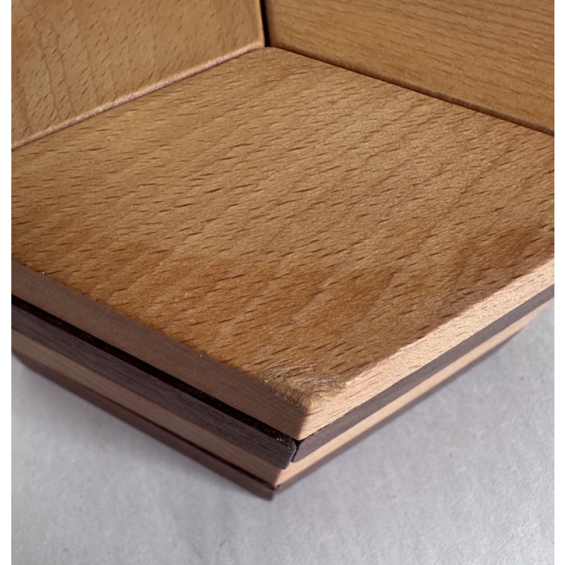 Y-Knot Puzzle