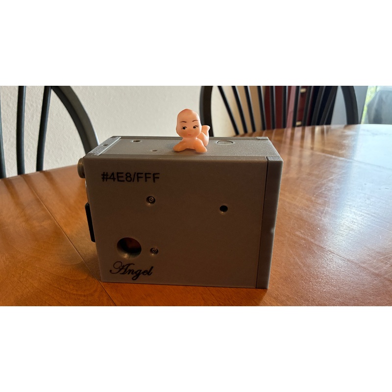 3D Printed Angel Box