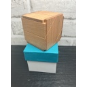 Kawashima Christmas 2025