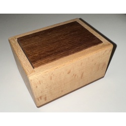 Spirit Box - DedWood Crafts 