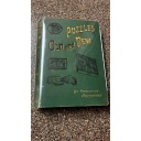 Puzzles Old and New by Professor Hoffman - VINTAGE ORIGINAL from 1893
