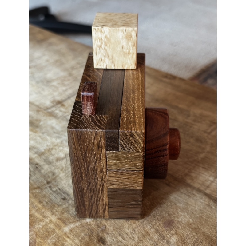 CAMERA CONUNDRUM - RARE