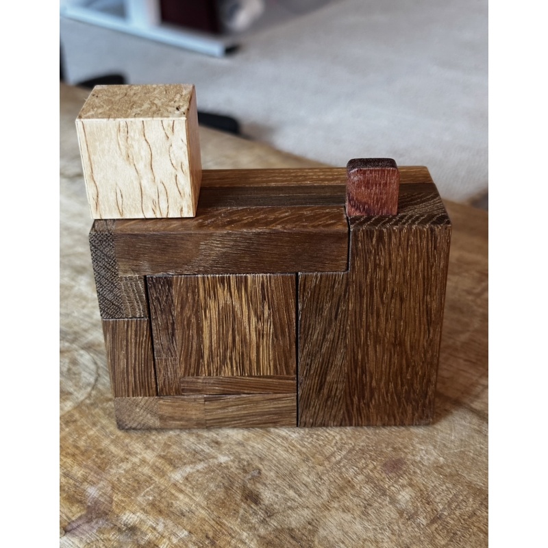 CAMERA CONUNDRUM - RARE