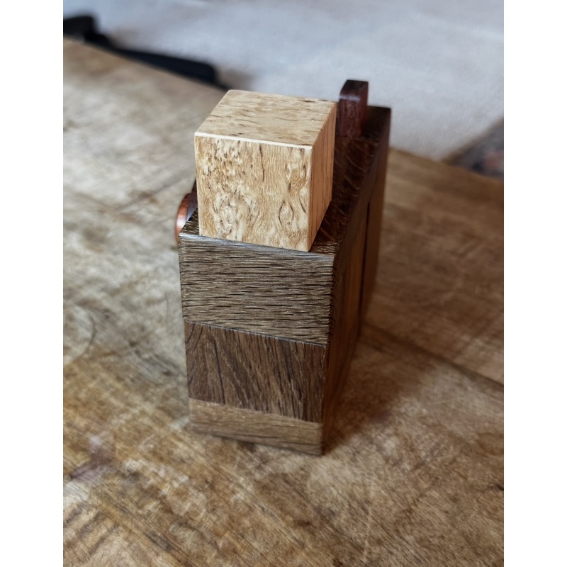 CAMERA CONUNDRUM - RARE