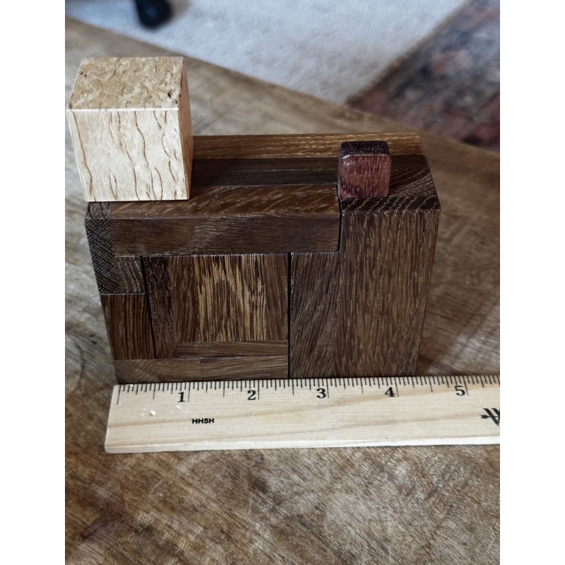 CAMERA CONUNDRUM - RARE