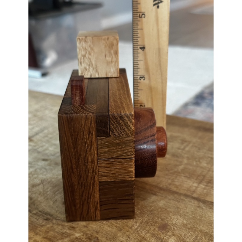 CAMERA CONUNDRUM - RARE