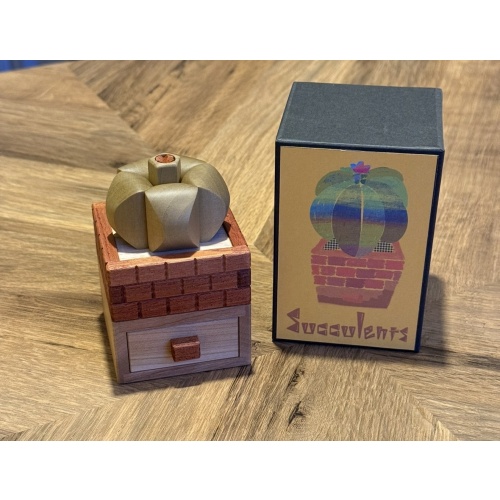 Succulents - Yasuaki Kikuchi