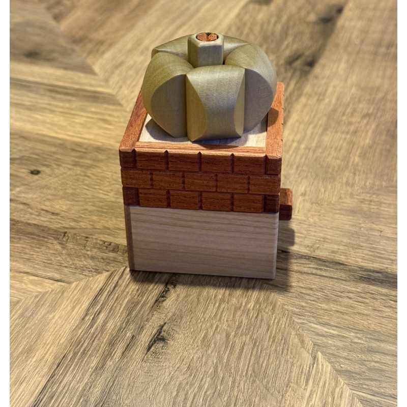 Succulents - Yasuaki Kikuchi