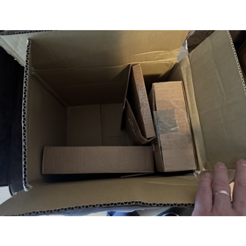 THE SHERLOCKIAN - Jesse Born