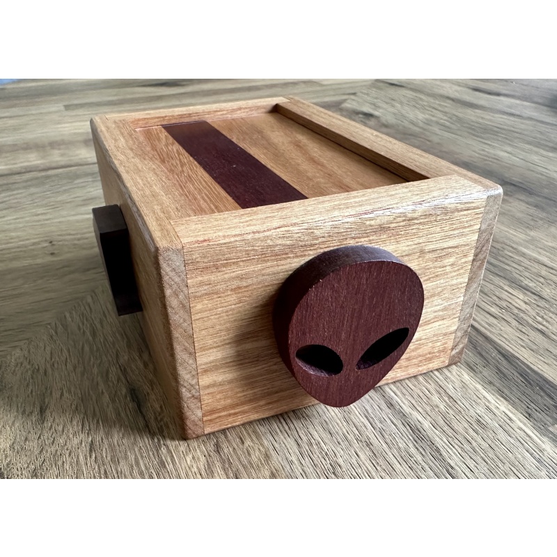 Space Case by Dedwood Crafts 