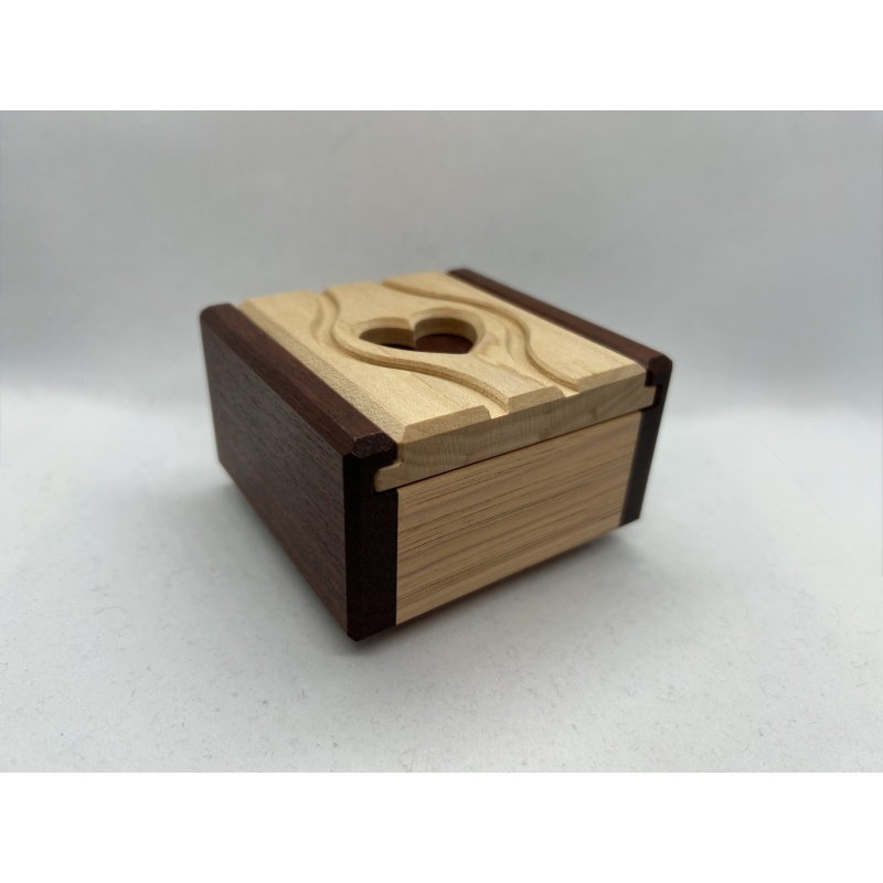 Ring Case (2019) - Junichi Yananose (Juno)