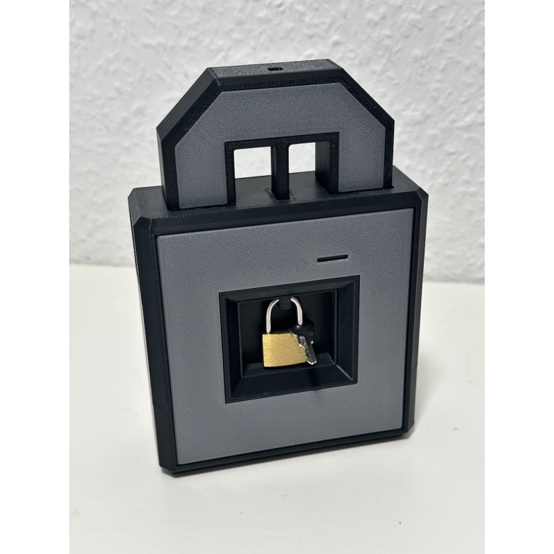 Locked Lock - Ryan Sinatra