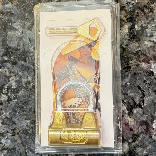 Her Key to the Treasure Lock