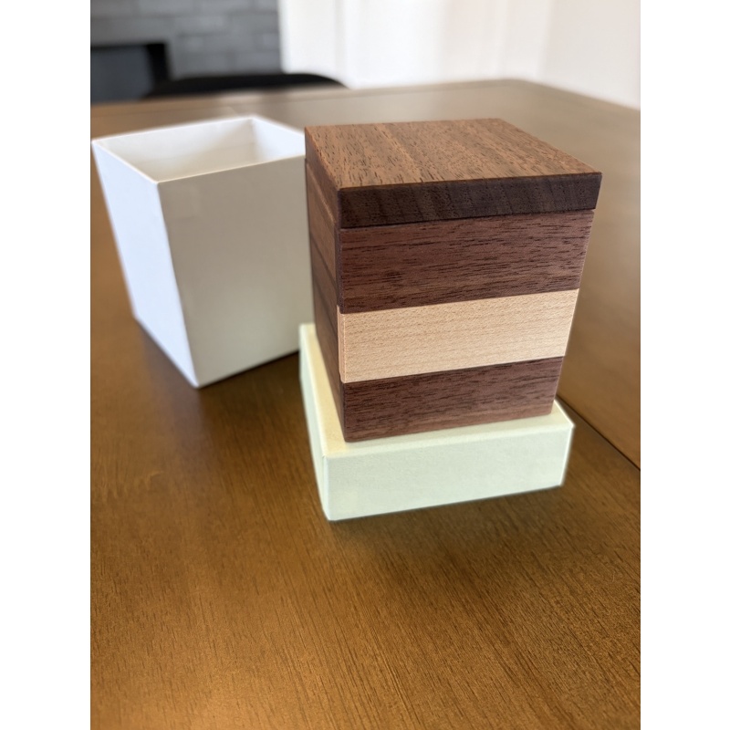 King trumpet mushroom (by Kotoya Hasebe of KCG)