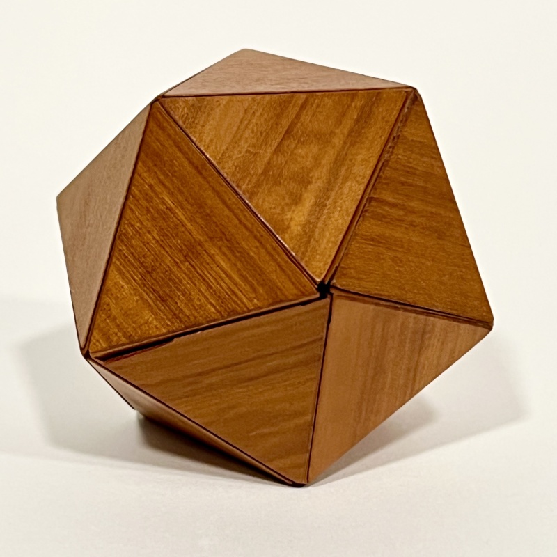 Icosahedral Puzzle - Wayne Daniel 