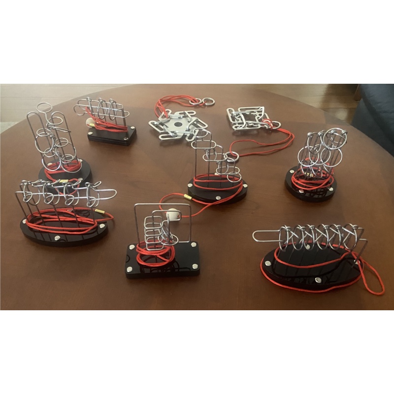 Aaron Wang 9-Piece Puzzle Lot