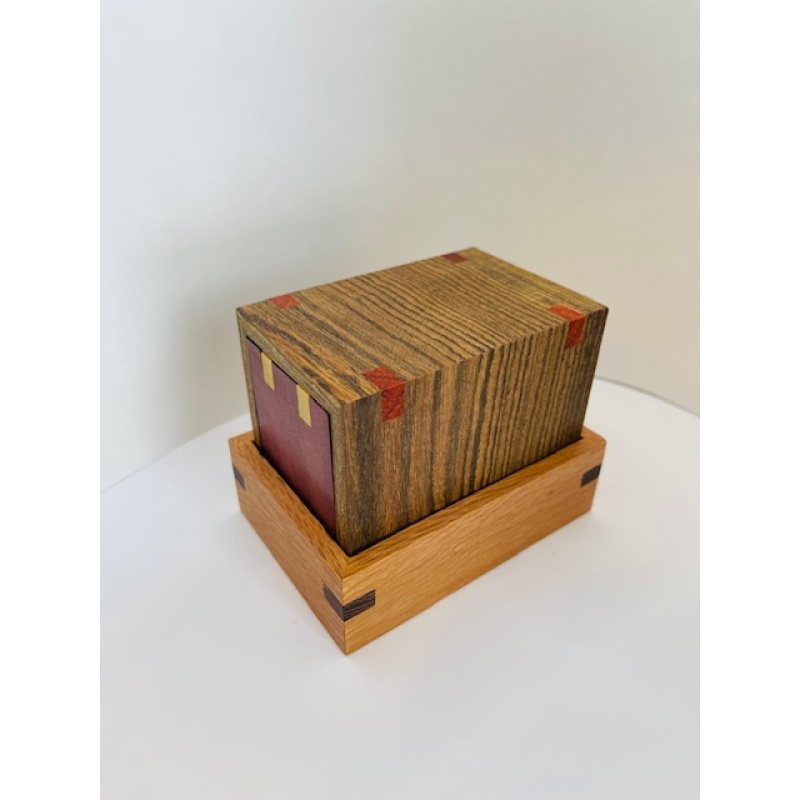 Tube It In - William Strijbos by  John Devost