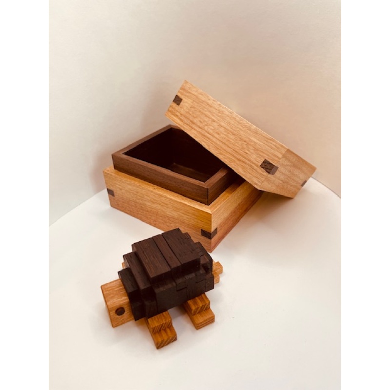 Turtles by Jakub Dvorak at Pelikan #34 of 50