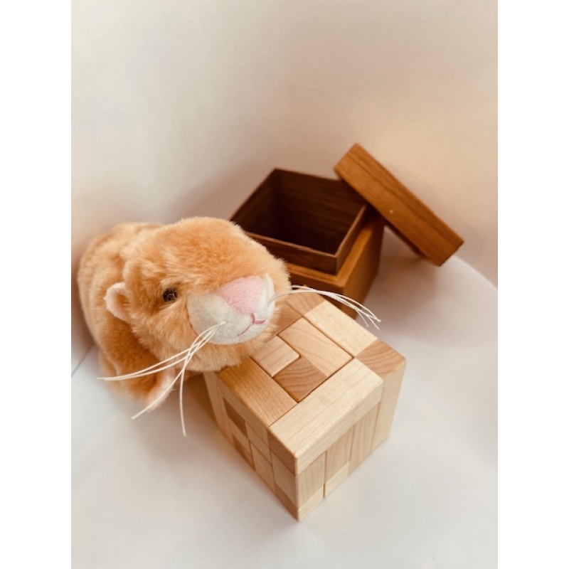 Eleventh Hour - Goh Pit Khiam by Tom Lensch