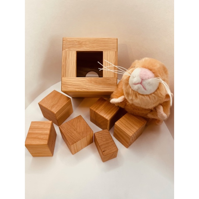 Block Play - Goh Pit Khiam by Tom Lensch