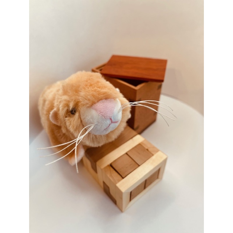 Gates ‘s’ by Tamas Vanyo