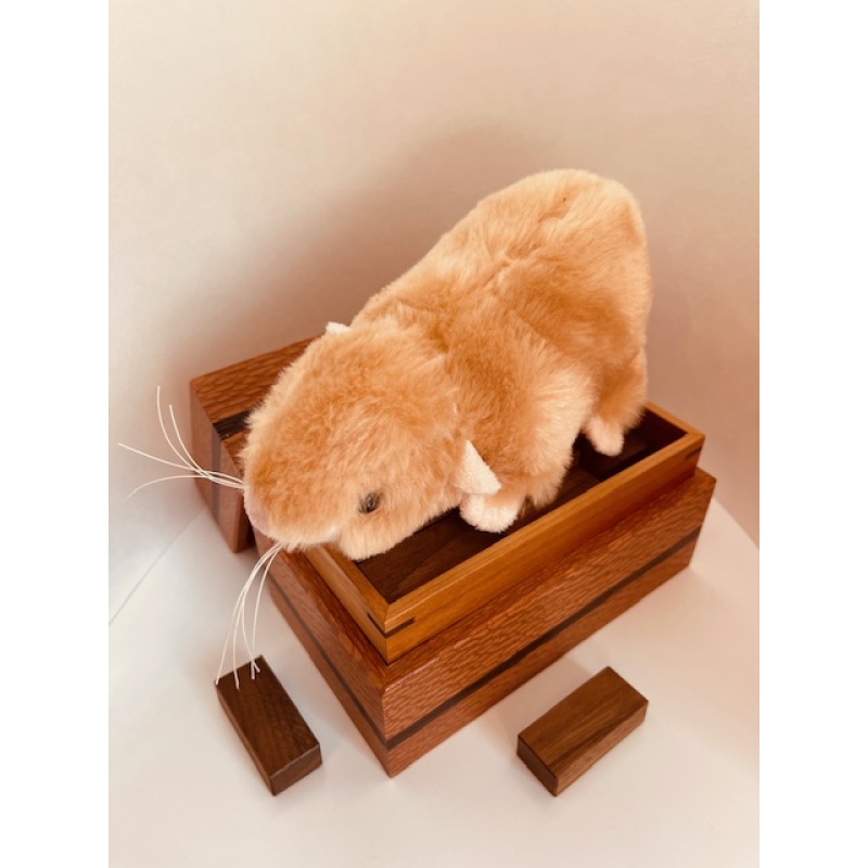 44 Piece Packing Puzzle - David Klarner by John Devost