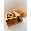 Ball Room - Stewart Coffin Design #197-A by Andy Manvell