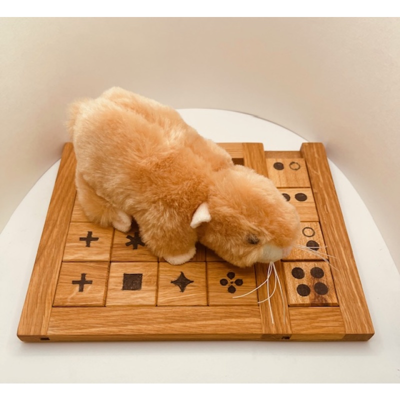 Mastermind by Tamas Vanyo