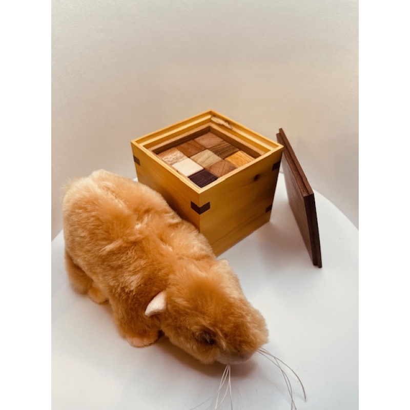 Cotway’s Cube - Yoshiyuki Kotani by John Devost