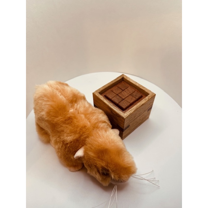 Kinder Cube - Kevin Holmes by John Devost
